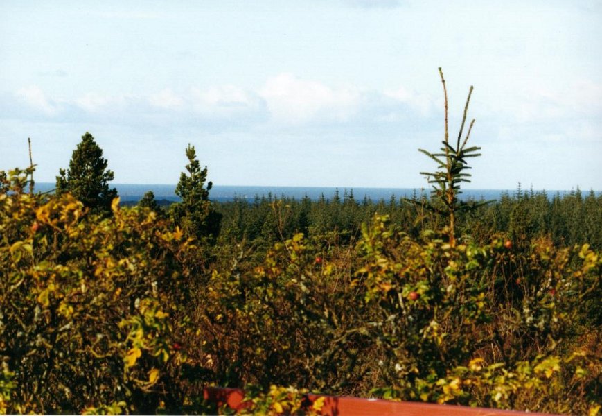 2001.11 DK 03.07 blaabjerg tuitzicht op zee